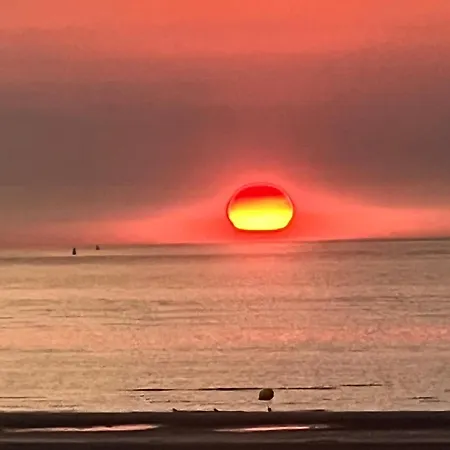 Joli Avec Cour Privee Appartement