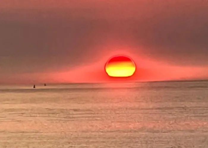 Joli Avec Cour Privee Appartement